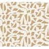 CASAMANCE CANA PAILLE (2)