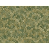 CASAMANCE FEIJOA CYPRES