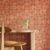 CASAMANCE DUALIS FORET ORANGE