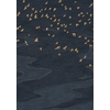 CASAMANCE MIGRATION MARINE