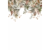 CASAMANCE WISTERIA IVOIRE VERT AMANDE