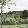PANORAMIQUE NOBILIS SOBIRIER DES OISEAUX