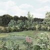 PANORAMIQUE NOBILIS SOBIRIER DES OISEAUX 6