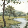 PANORAMIQUE NOBILIS A Thousand Leaves