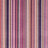 7761-05-parada-crocus_rayure-fantaisie-colore
