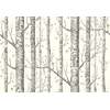 papier-peint-cole-son-arbre-etoile-woods-stars-11050-blanc-casse -le