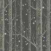 papier-peint-cole-son-arbre-etoile-woods-stars-103110536-charbon