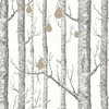 papier-peint-cole-son-arbre-foret-woods-pears-blanc-casse
