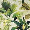 papier-peint-exotique-jungle-vert-kaki-02