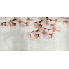 panoramique-arbre-fleur-blossom-rose-detail