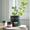 peinture little greene