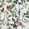 papier-peint-nature-oiseaux-fleurs-oldfinch-Song-Cotton-visuel