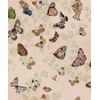 papier-peint-papillons-Magic-butterflies-Sweet-9500052