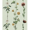 papier-peint-fleurs-minimaliste-naturaliste-Climbing-Flowers-Melon-9500062