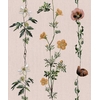Climbing-Flowers-Pink-9500061papier-peint-fleurs-minimaliste-naturaliste-