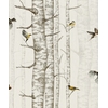 papier-peint-foret-arbre-oiseaux-Birch-Trees-Beige-9500041