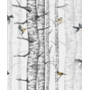 papier-peint-foret-arbre-oiseaux-Birch-Trees-Grey-9500040
