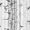 papier-peint-foret-arbre-oiseaux-Birch-Trees-Grey-visuel