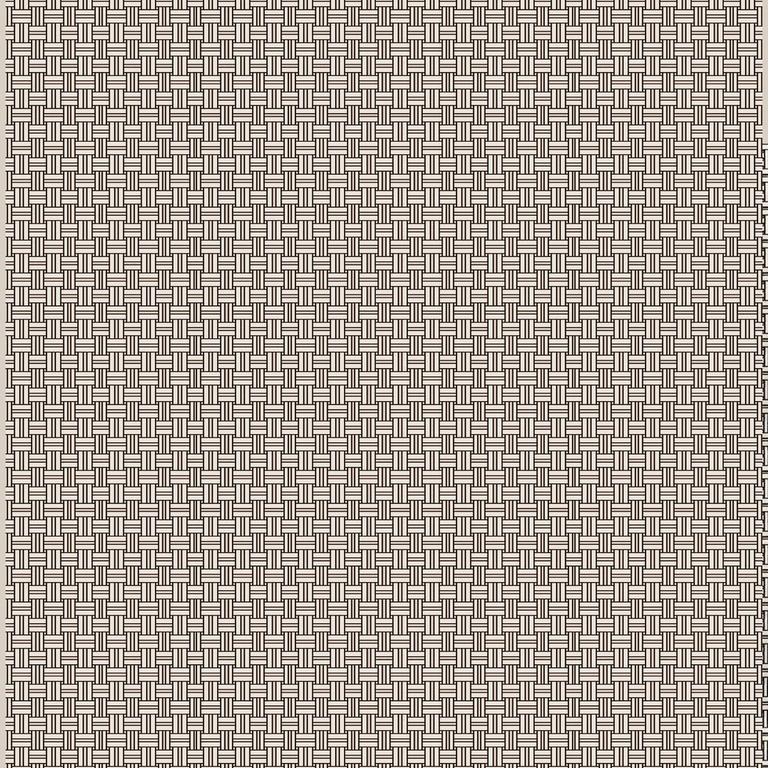 28940691-velours-illinois-camengo-blanc-noir (2)