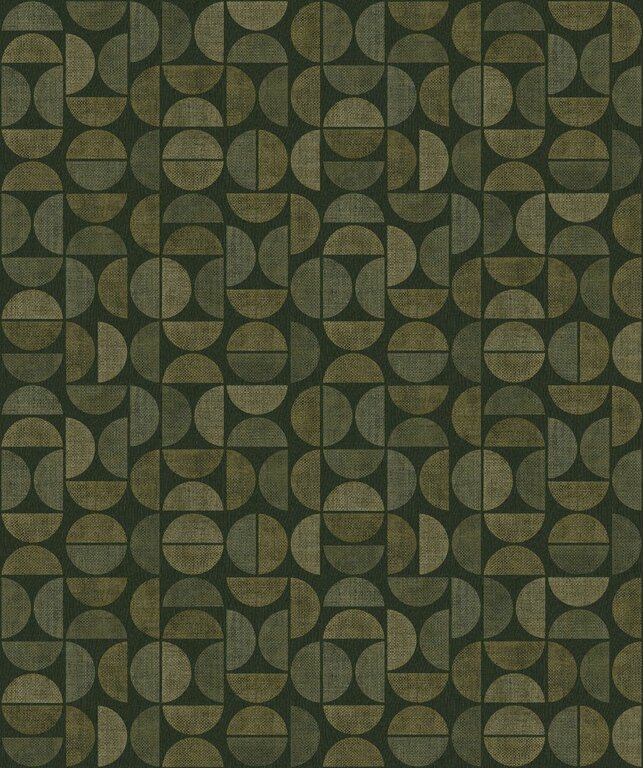 CASAMANCE DUALIS FORET VERT