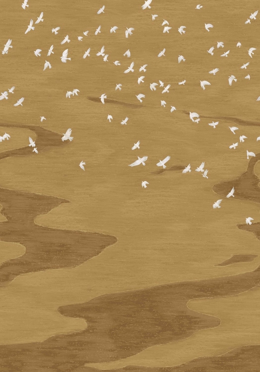 CASAMANCE MIGRATION DORE