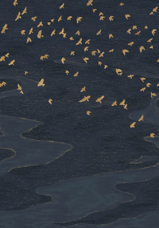 CASAMANCE MIGRATION MARINE