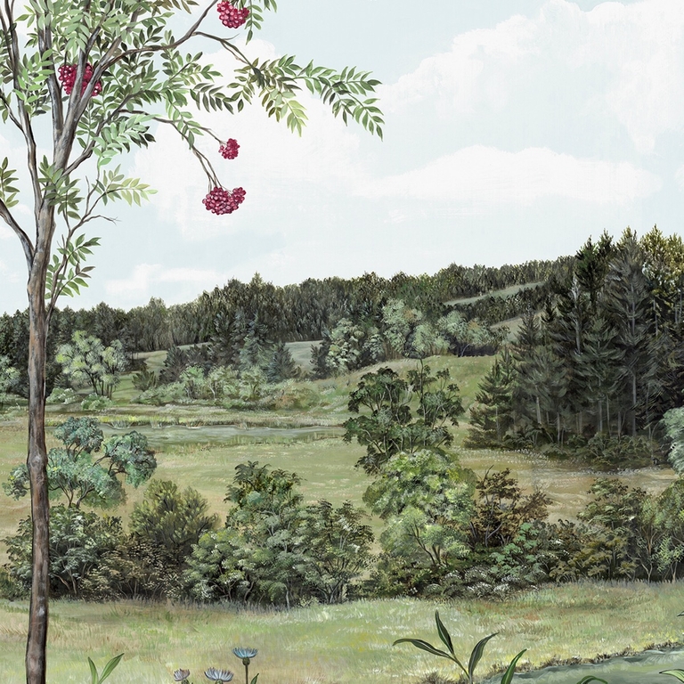 PANORAMIQUE NOBILIS SOBIRIER DES OISEAUX