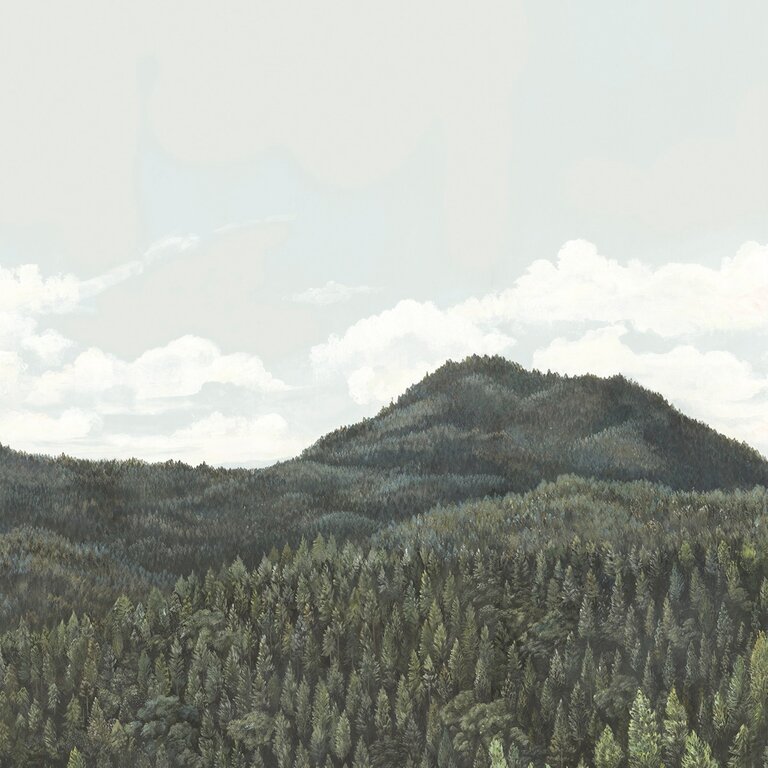 PANORAMIQUE NOBILIS CANOPY 2 5
