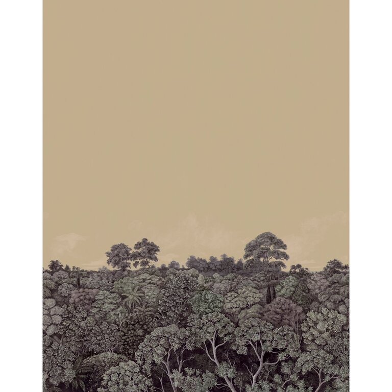 PANORAMIQUE NOBILIS CANOPY 1 2