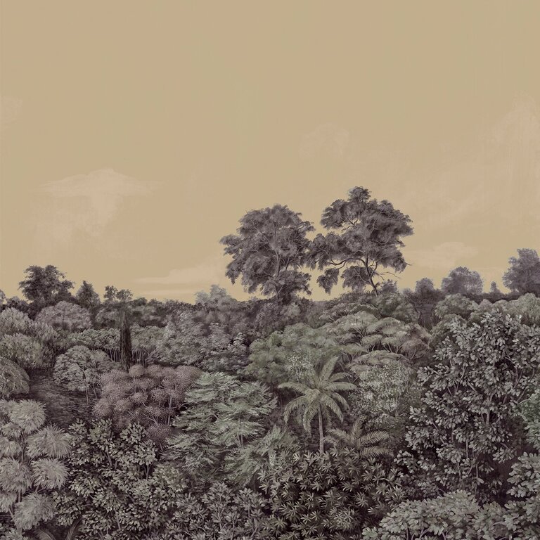 PANORAMIQUE NOBILIS CANOPY 1 3