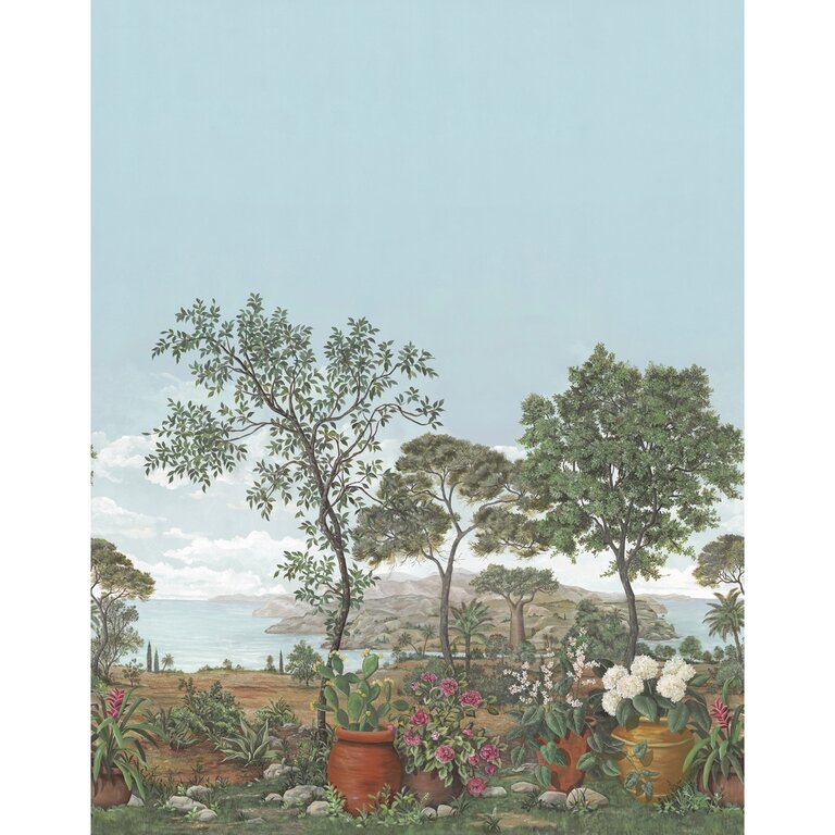 PANORAMIQUE NOBILIS BAOBAB 1