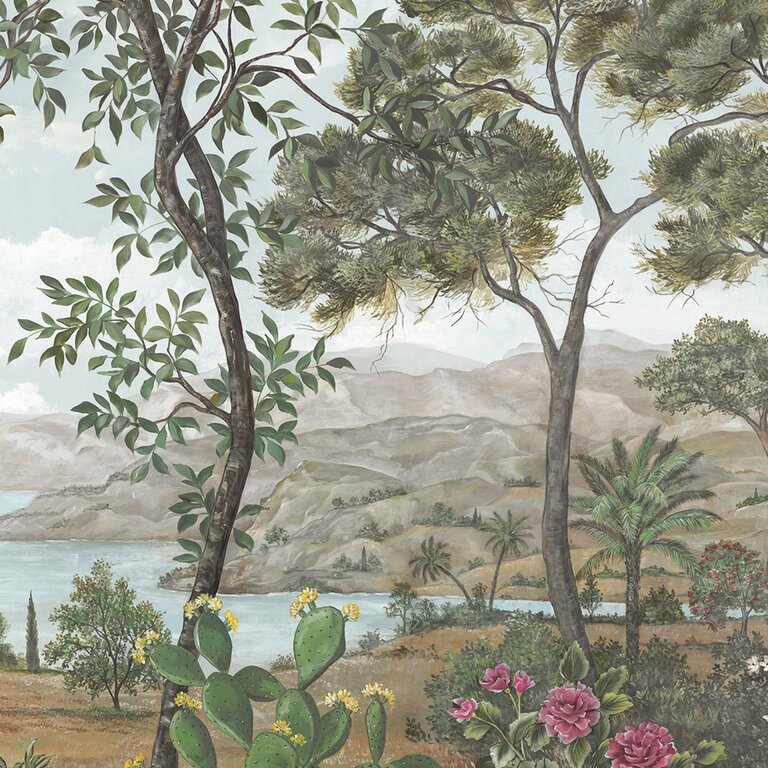 PANORAMIQUE NOBILIS BAOBAB