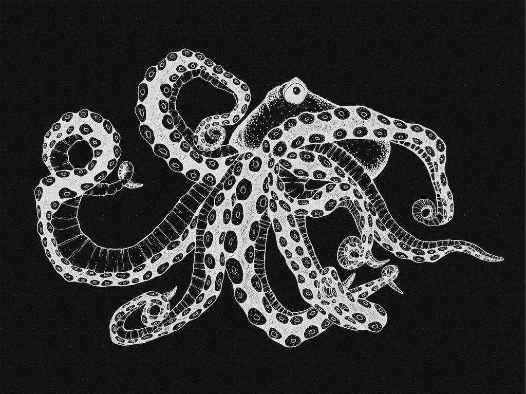 Octopus-X-Ray-Black-9500802-papier-peint-panoramique-pieuvre-noir