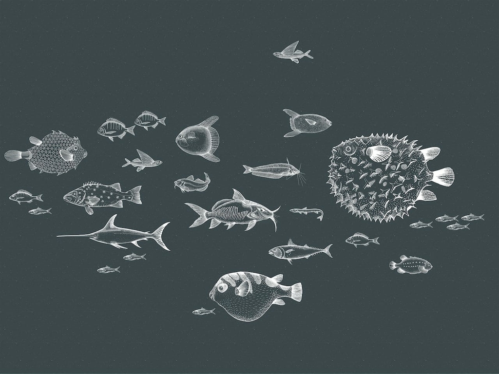 papier-peint-ocean-marin-poisson-noir-blanc-Sea-Current-Navy-9500602