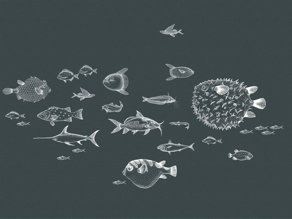 papier-peint-ocean-marin-poisson-noir-blanc-Sea-Current-Navy-9500602