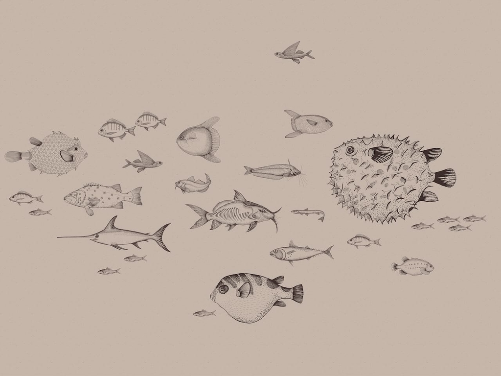 papier-peint-poisson-mer-Sea-Current-Nude-9500600
