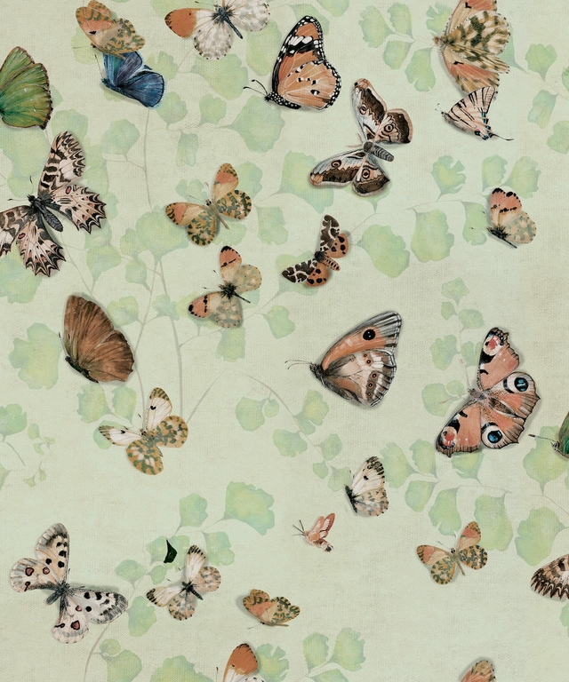 Magic-butterflies-Maca-9500053-papier-peint-papillons