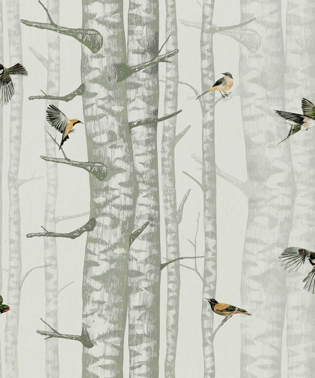 papier-peint-foret-arbre-oiseaux-Birch-Trees-Silvester-9500042