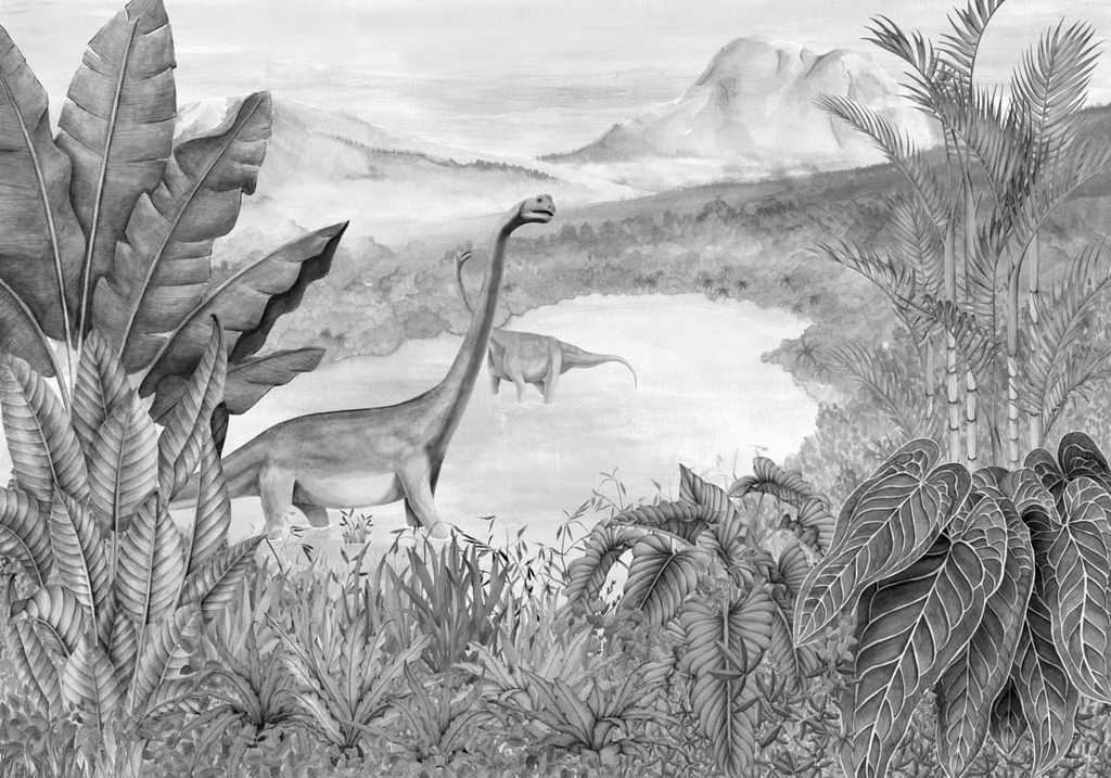 9700042-papier-peint-enfant-panoramique-jungle-dinosaures-gris