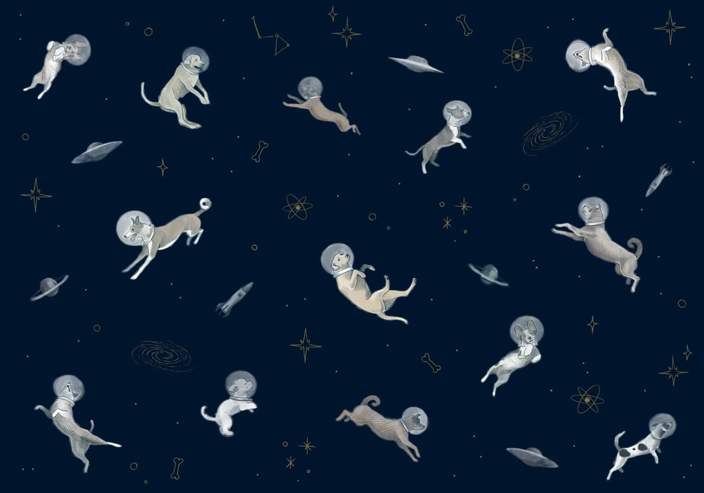 papier-peint-enfant-panoramique-chien-espace-coordonne-nuit
