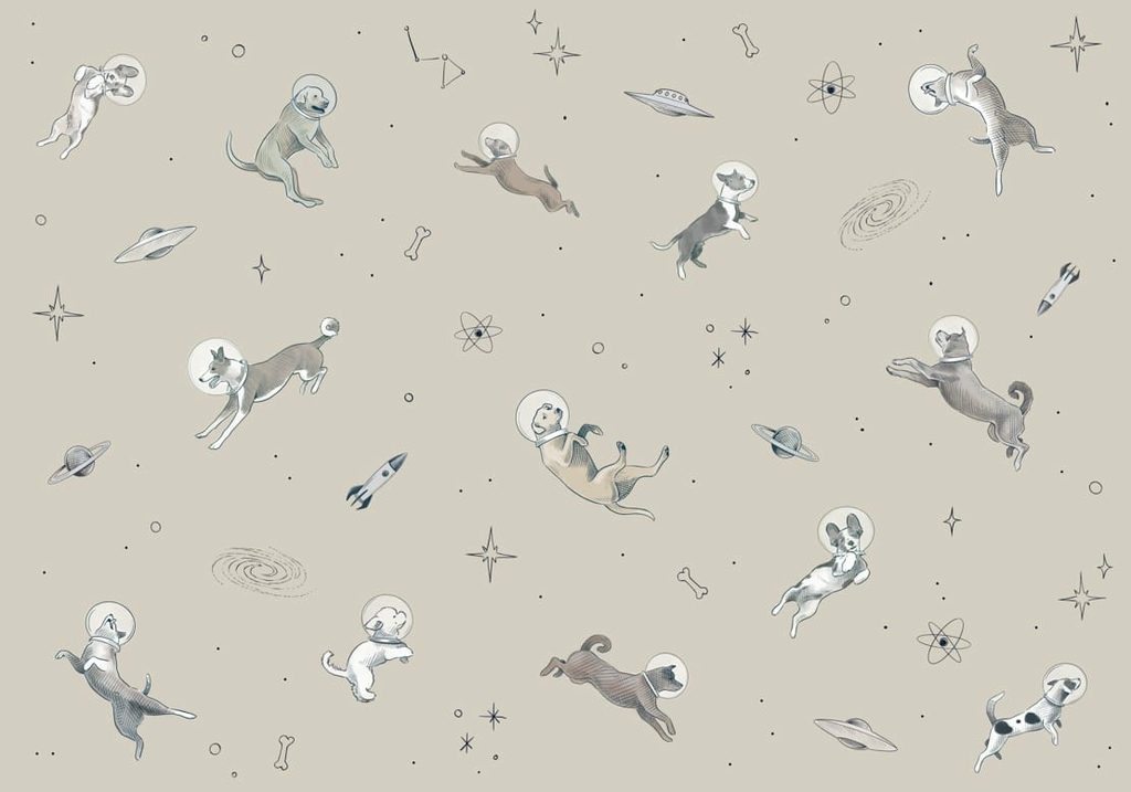 papier-peint-enfant-panoramique-chien-espace-coordonne-gris