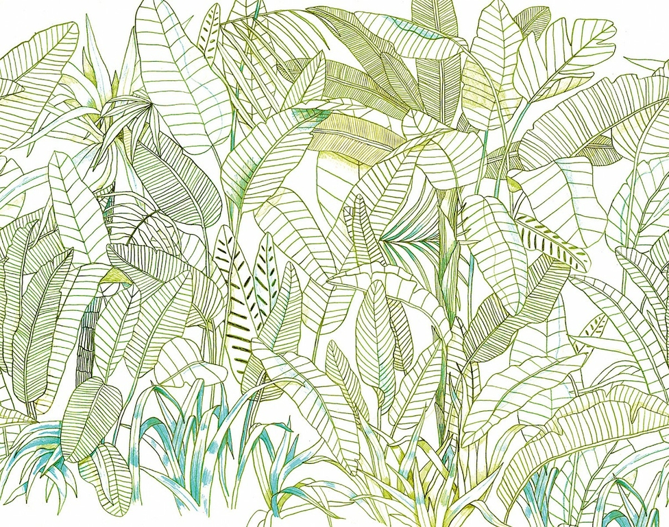 papier-peint-panoramique-nature-jungle-vinyle