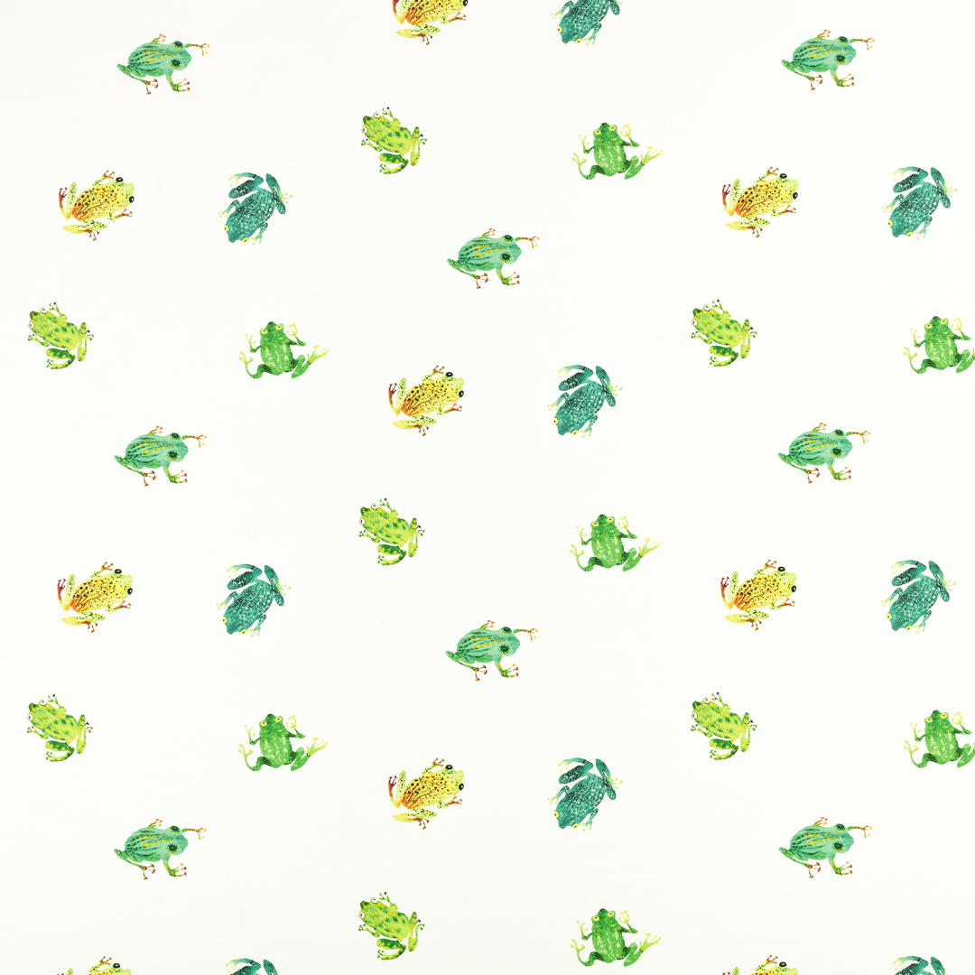 V3599-01-leap-frog-leap-frog_04