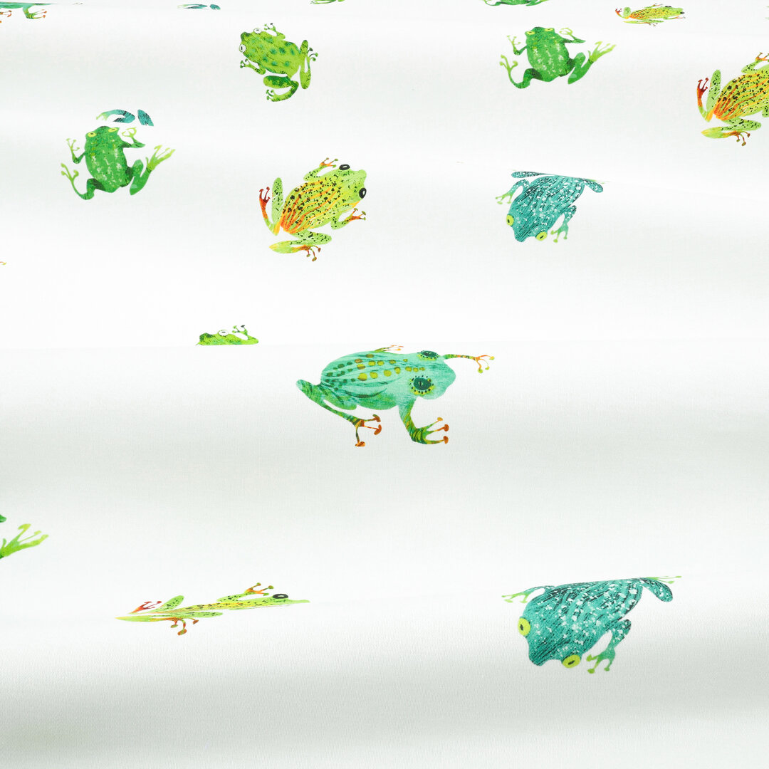 V3599-01-leap-frog-leap-frog_05
