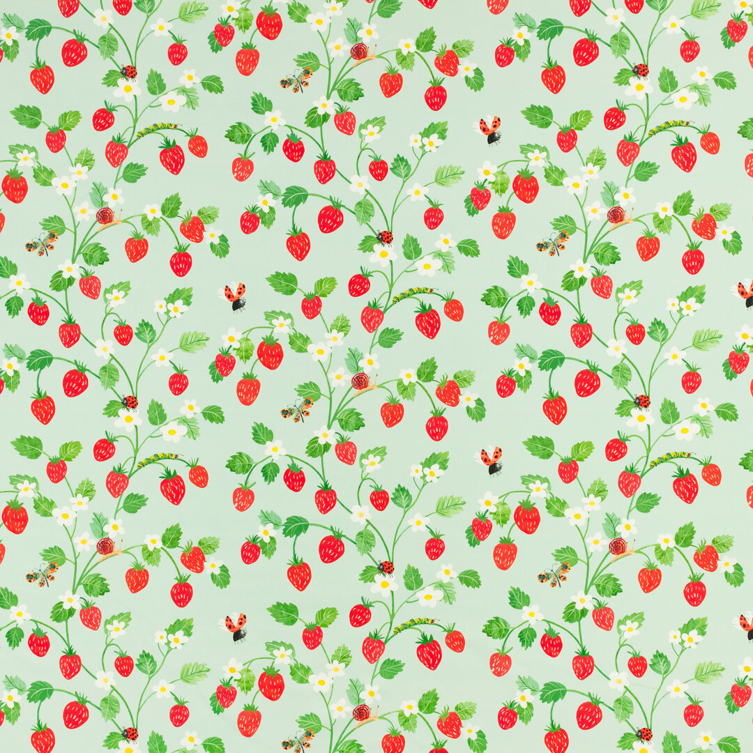 V3597-01-strawberry-patch-strawberry-patch_02