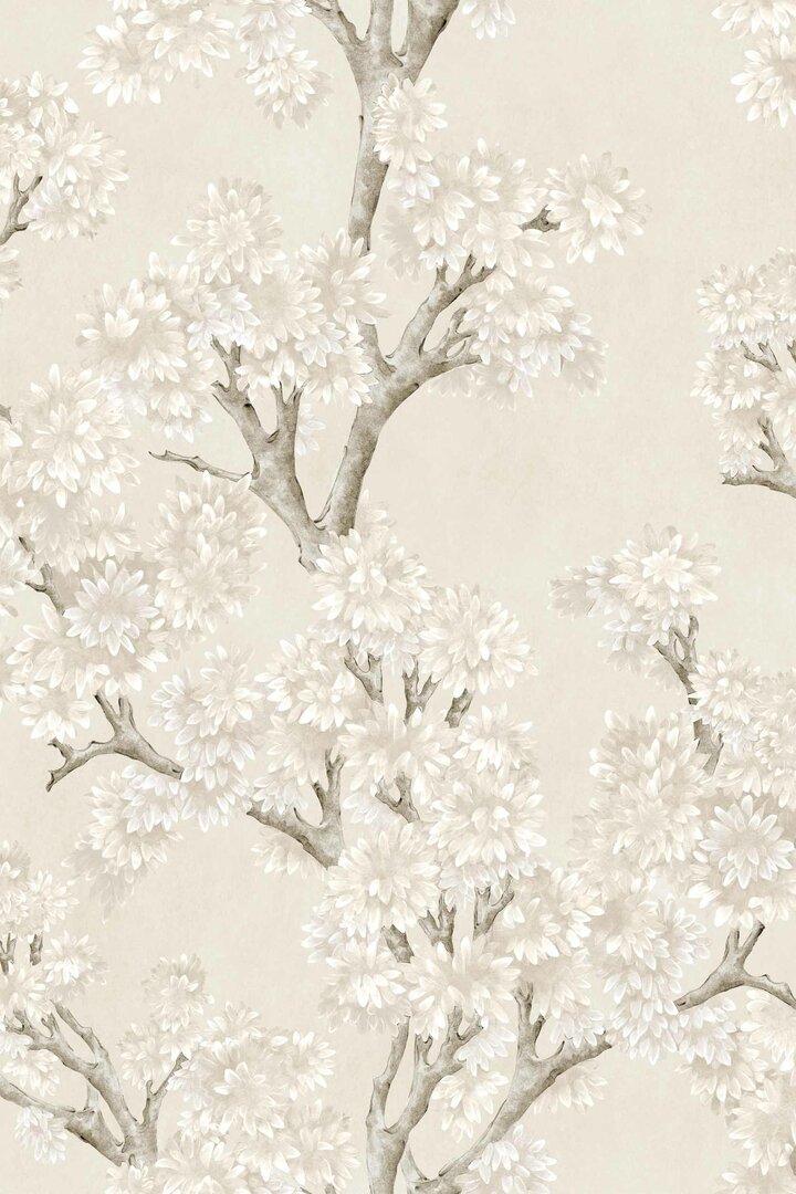field-maple-bone-coordonne