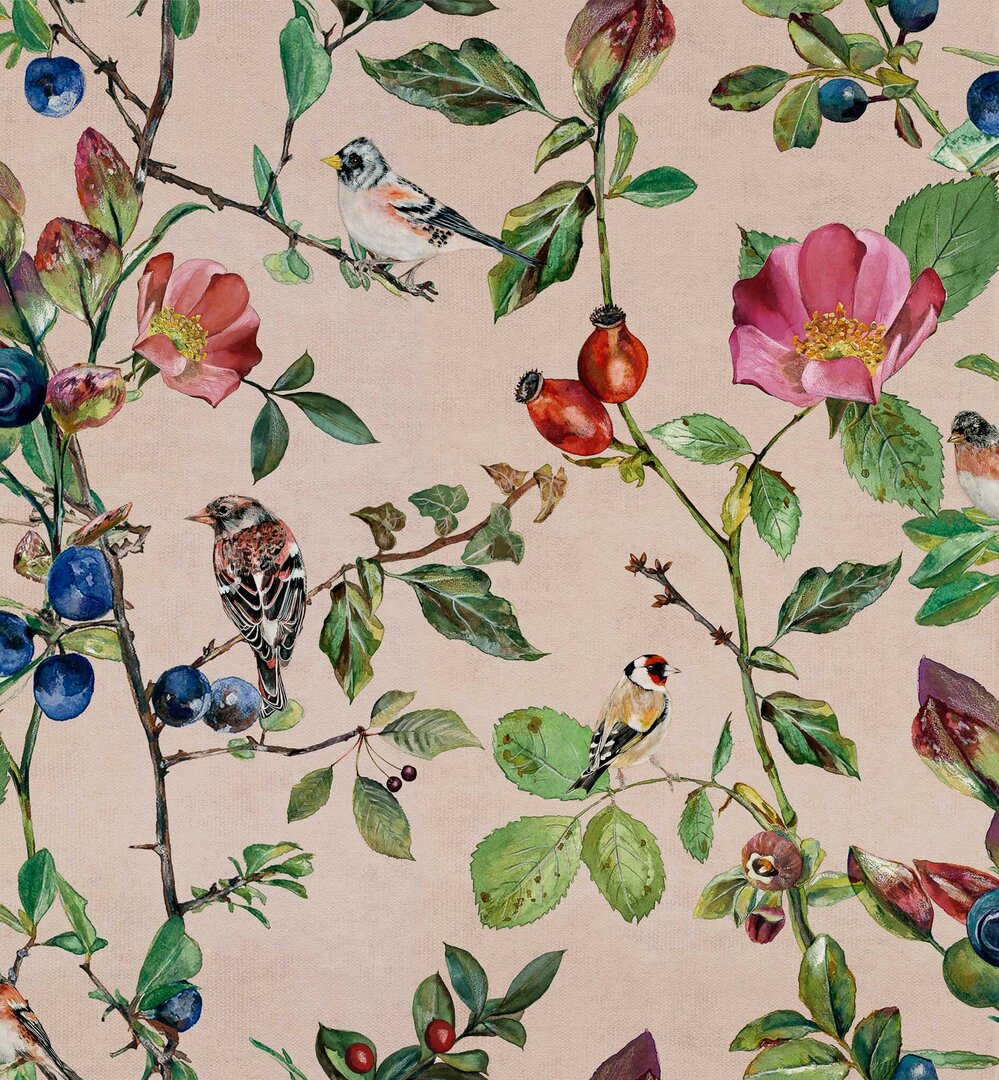 goldfinch-song-blush-wallpaper-coordonne