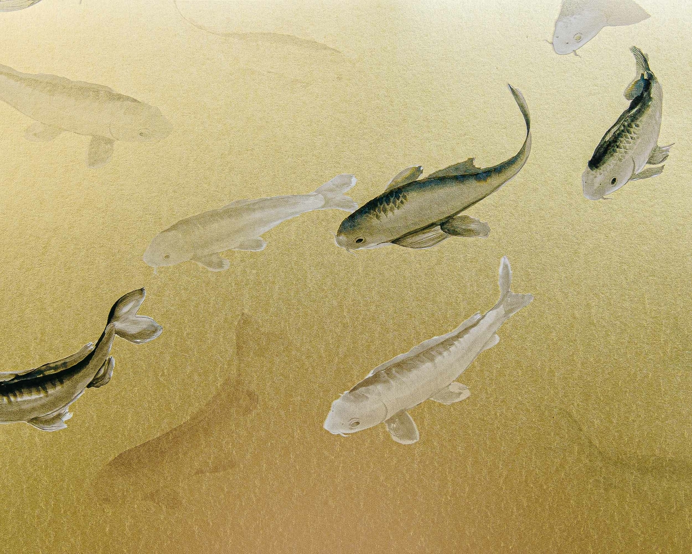 koi-gold-mural-coordonne1
