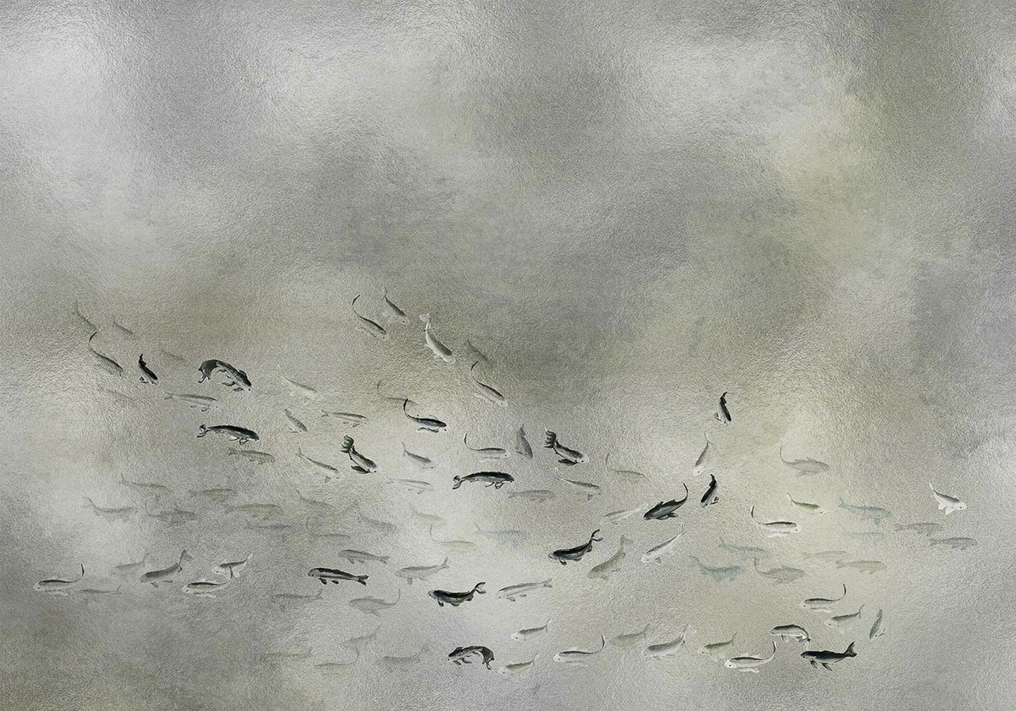 koi-silver-mural-coordonne