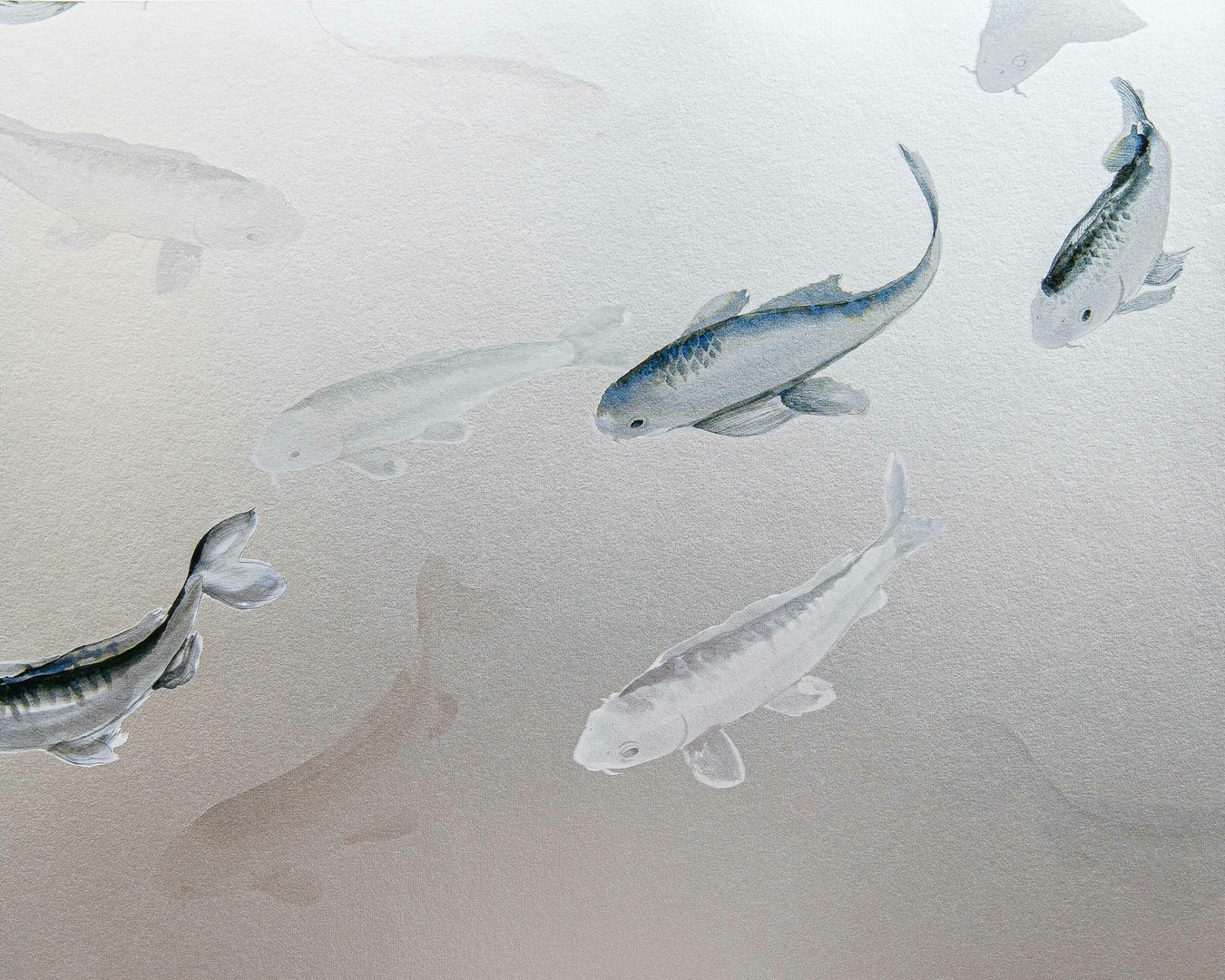 koi-silver-mural-coordonne1